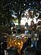 IMG_1085.jpg IMG_1085.jpg