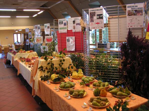 5_expo_arboriculteurs.jpg